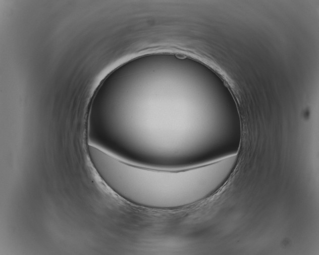 X0000093141534200709261047