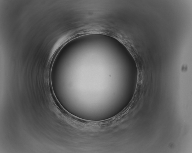 X0000093140004200709261434