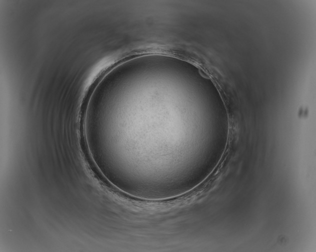 X0000093140006200709261434