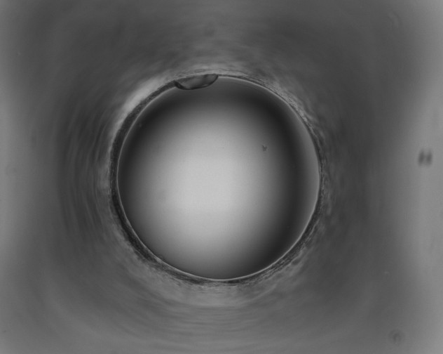 X0000093140008200709261434