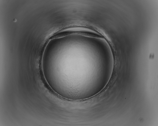 X0000093140010200709261434