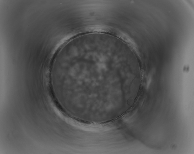 X0000093140012200709261434