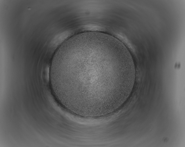 X0000093140014200709261434