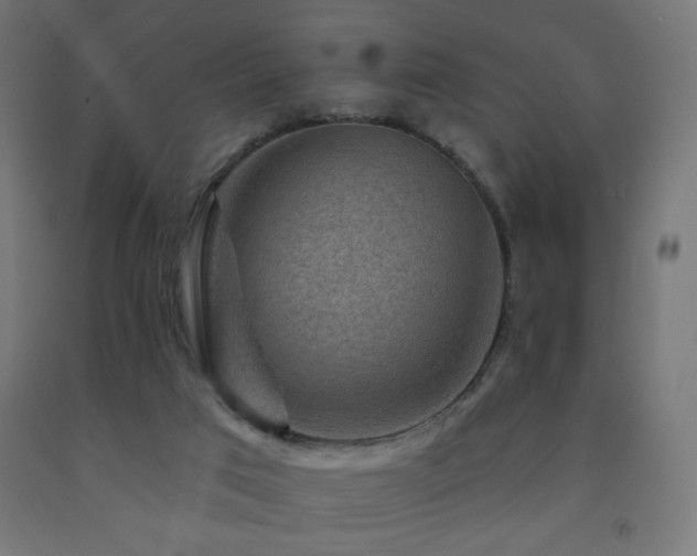 X0000093140017200709261434