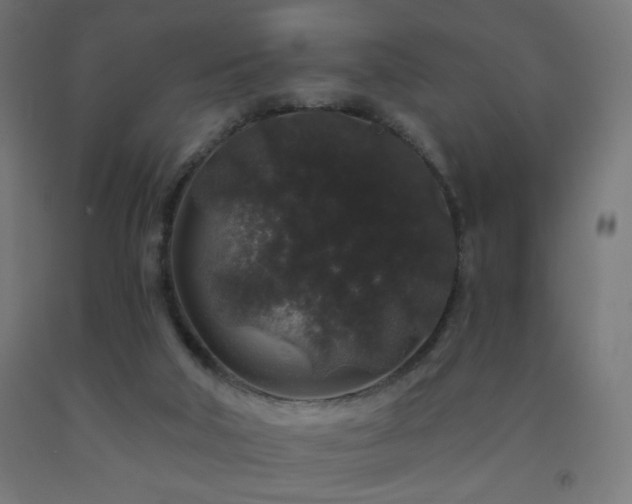 X0000093140018200709261434