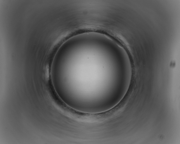 X0000093140020200709261434