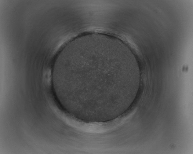 X0000093140024200709261434