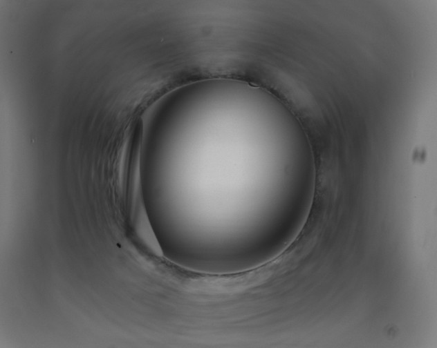 X0000093140025200709261434