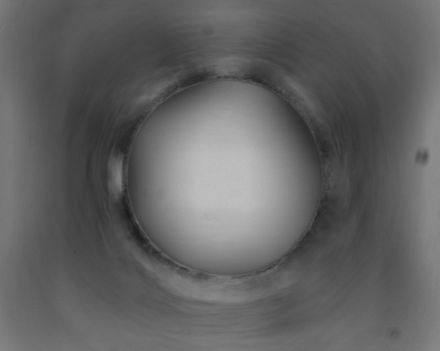 X0000093140028200709261434