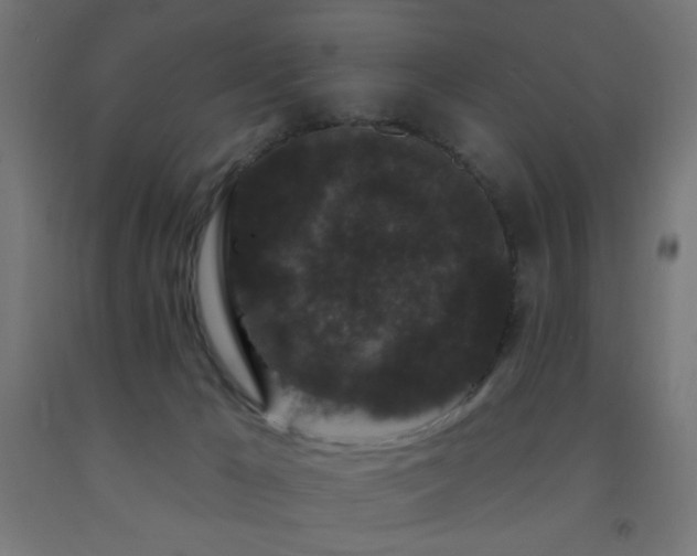 X0000093140029200709261434