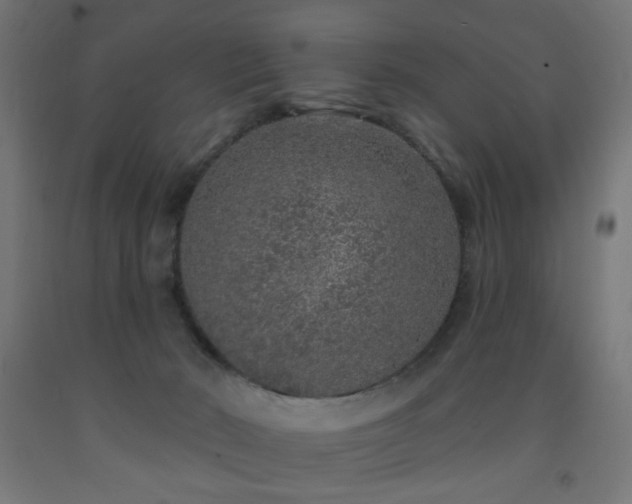 X0000093140030200709261434