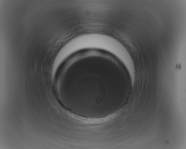 X0000093140031200709261434