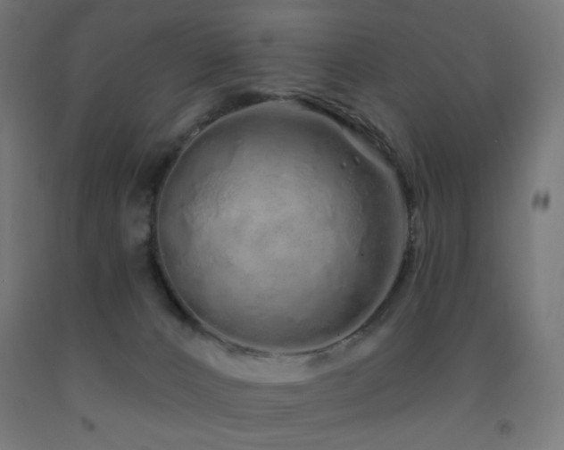 X0000093140032200709261434