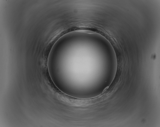 X0000093140044200709261433