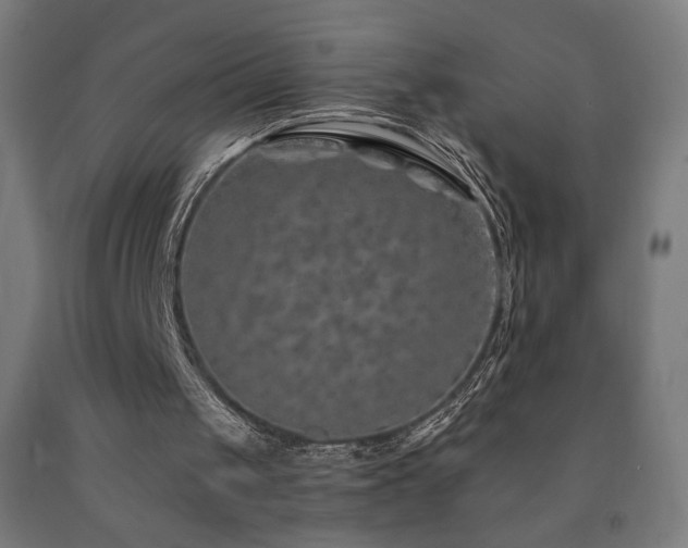 X0000093140049200709261433