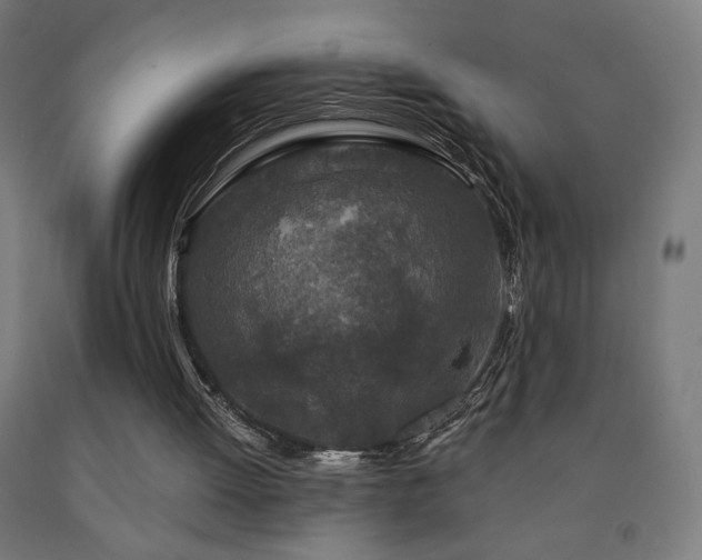 X0000093140052200709261433