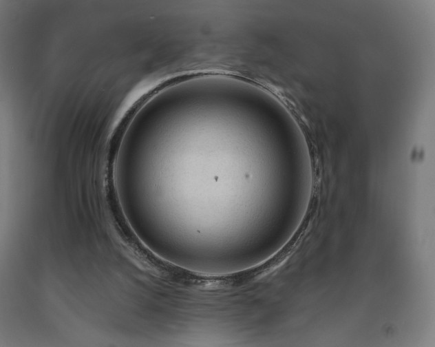 X0000093140056200709261433