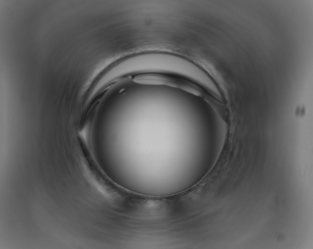 X0000093140060200709261433