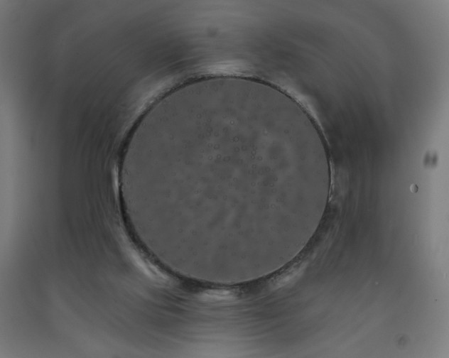 X0000093140061200709261433