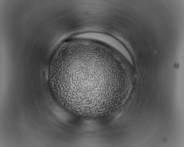 X0000093140062200709261433