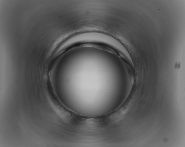 X0000093140064200709261433