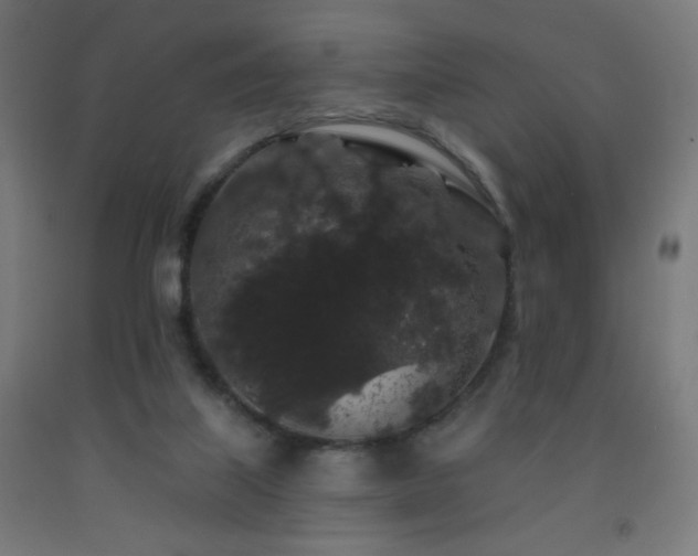 X0000093140067200709261433