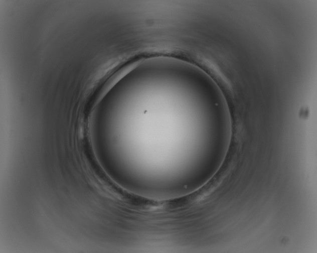 X0000093140068200709261433