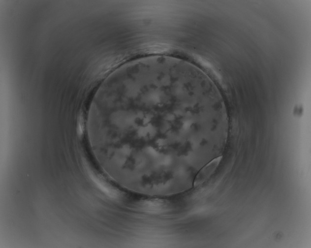 X0000093140069200709261433