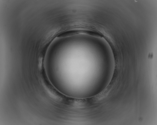 X0000093140070200709261433