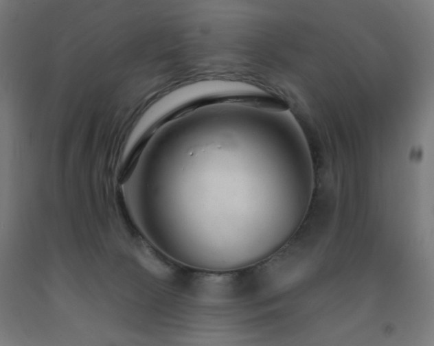 X0000093140081200709261433