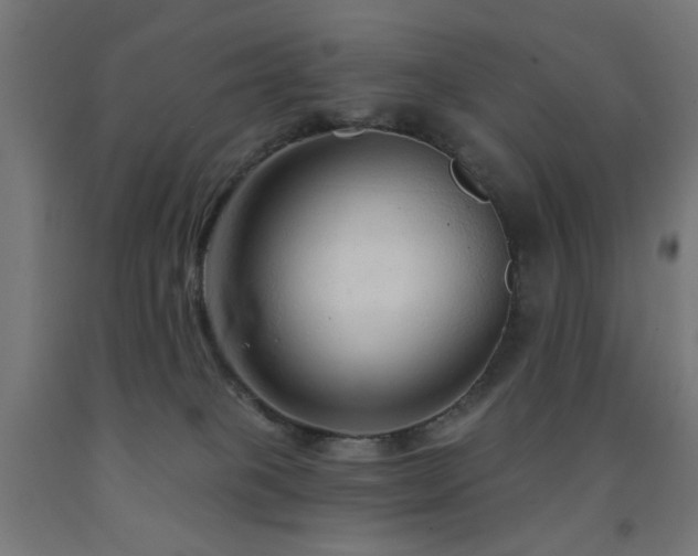 X0000093140085200709261433
