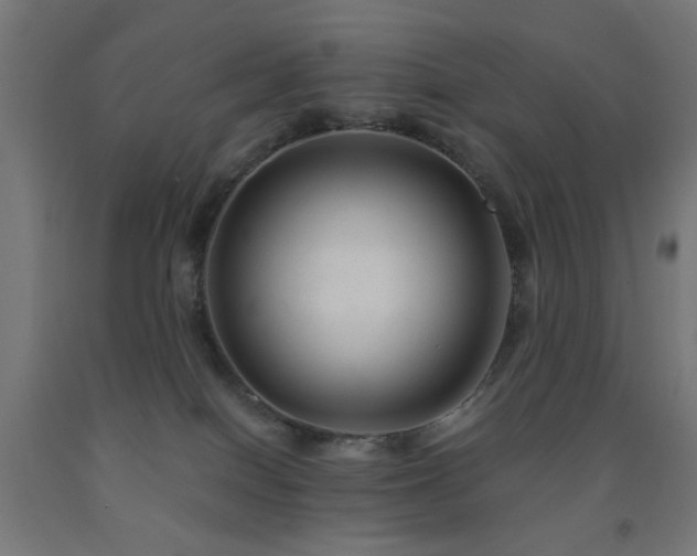X0000093140086200709261433