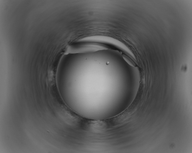 X0000093140087200709261433