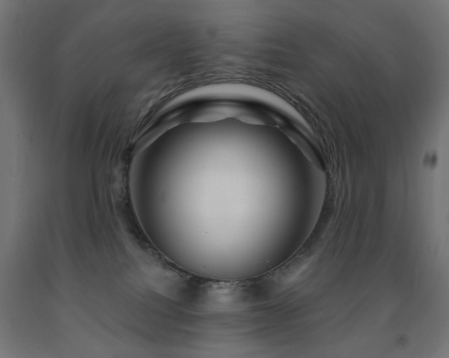 X0000093140088200709261433