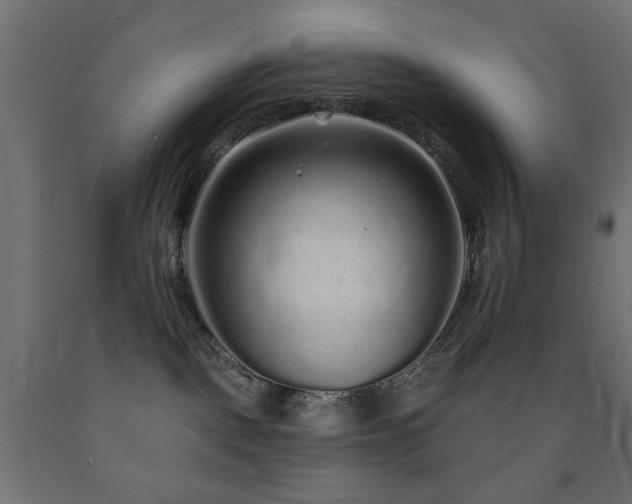 X0000093140093200709261433