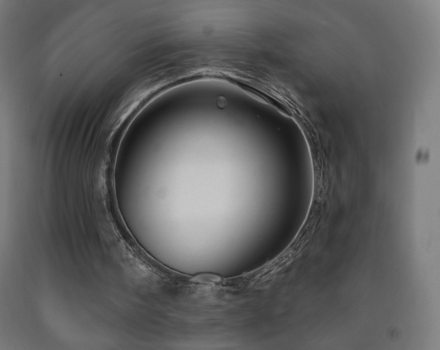 X0000093140098200709261433