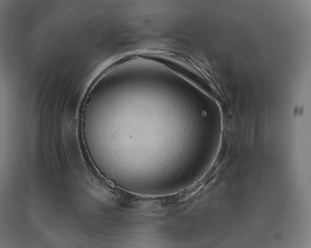 X0000093140100200709261432