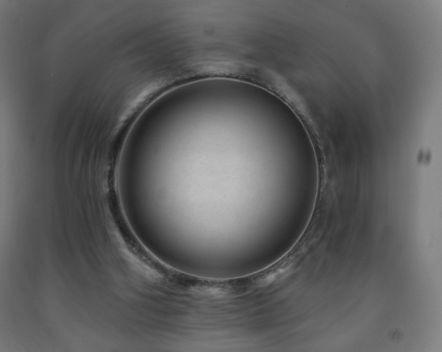 X0000093140106200709261432