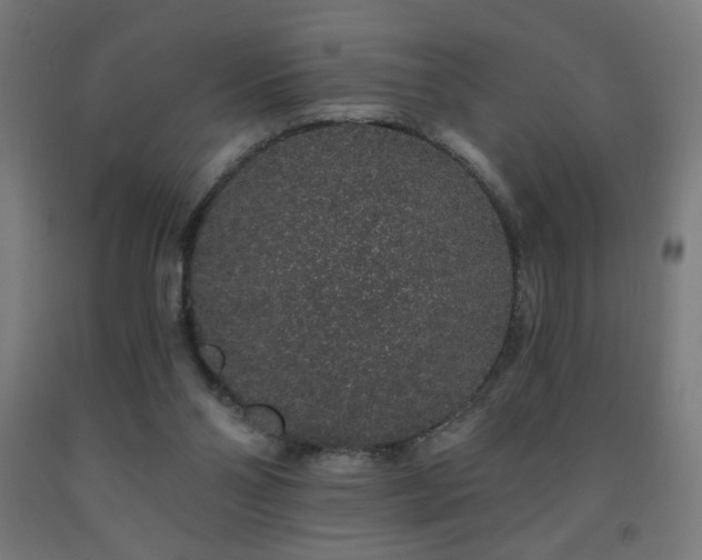 X0000093140110200709261432