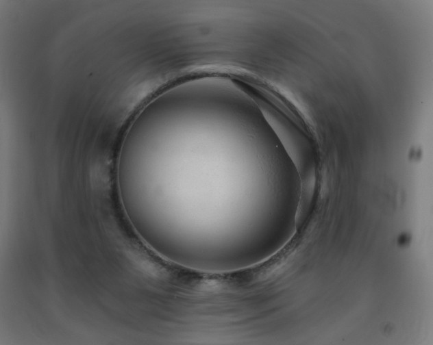 X0000093140111200709261432