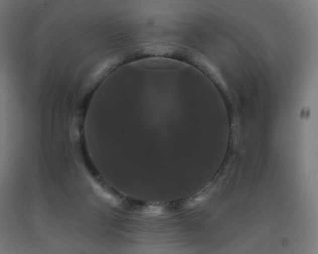 X0000093140114200709261432