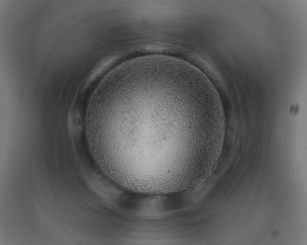 X0000093140116200709261432