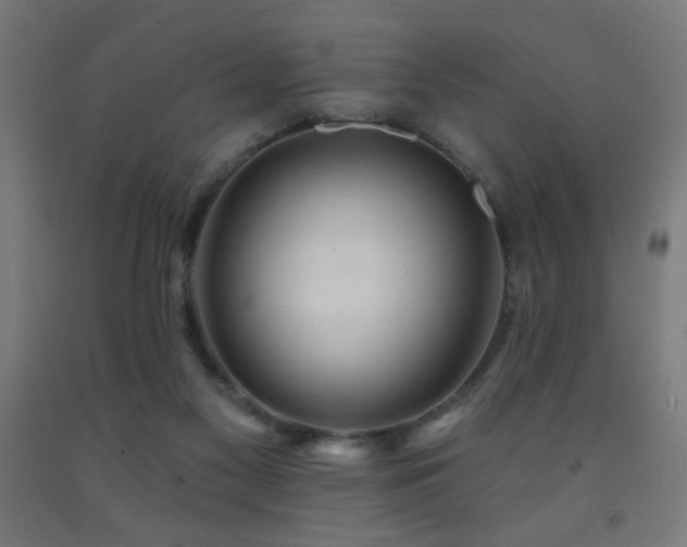 X0000093140117200709261432