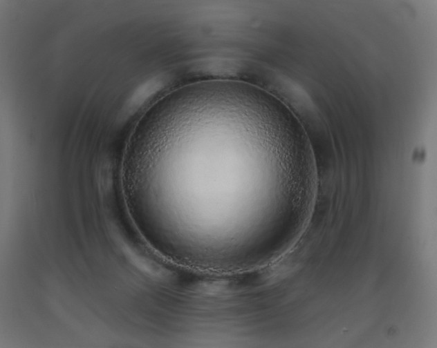 X0000093140120200709261432