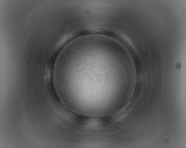 X0000093140124200709261432