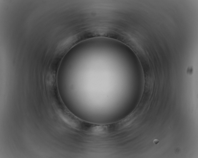 X0000093140126200709261432