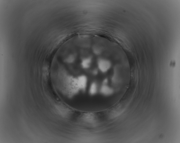 X0000093140127200709261432