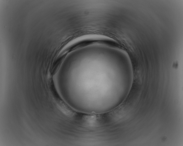 X0000093140131200709261432