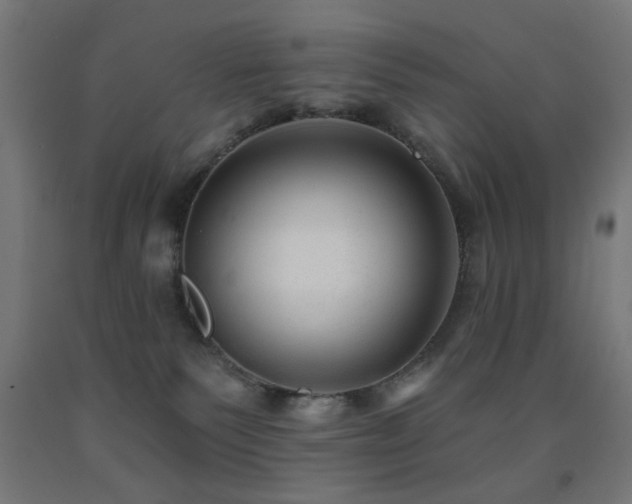 X0000093140135200709261432