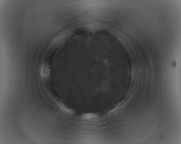 X0000093140137200709261432